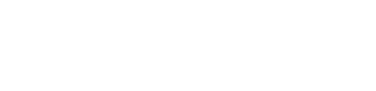 TorDex footer logo